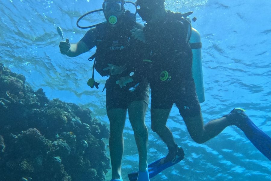 Full-Day Diving Tour with Lunch & Two Dive Sites